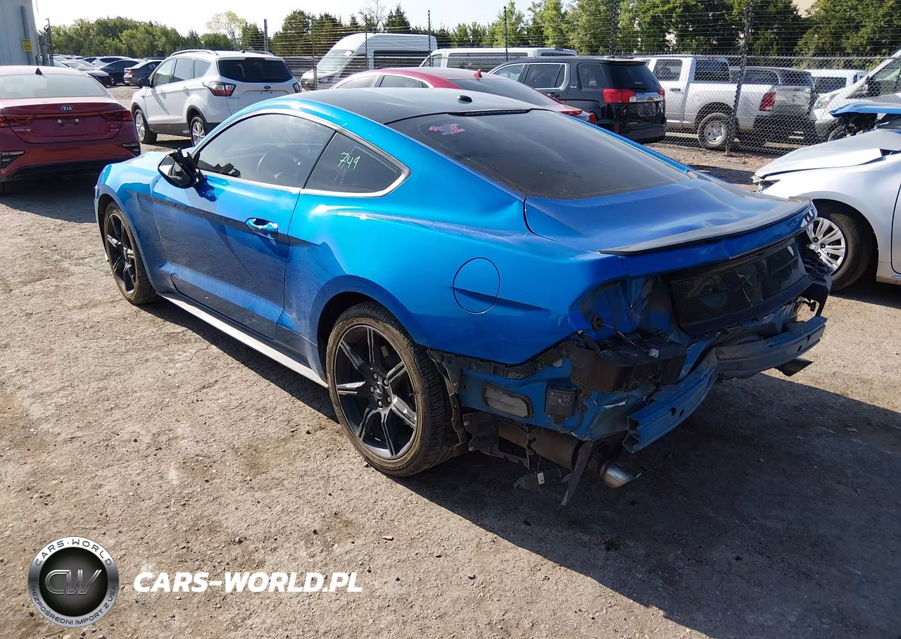 2019 Ford Mustang Ecoboost Premium VIN:1FA6P8TH4K5168791 - 3