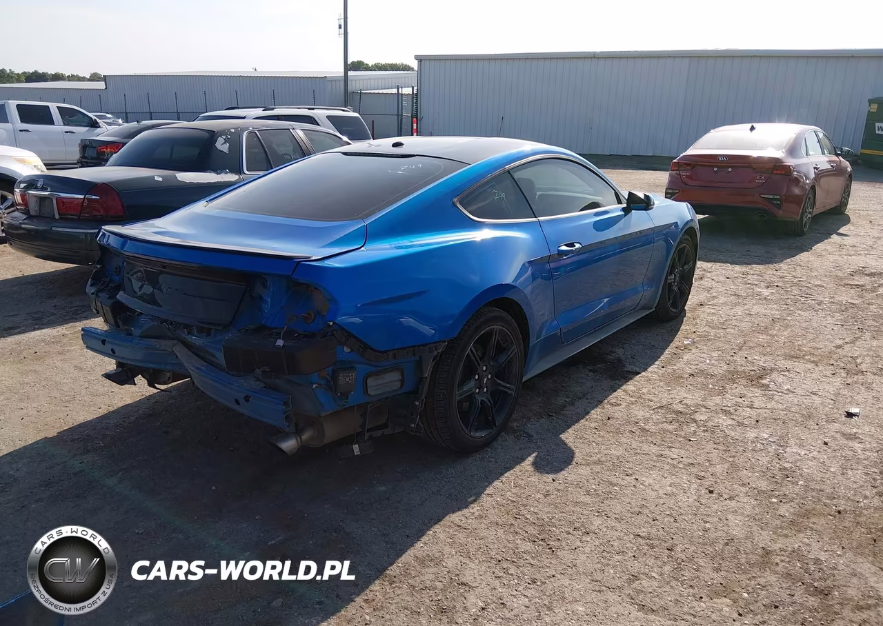 2019 Ford Mustang Ecoboost Premium VIN:1FA6P8TH4K5168791 - 4