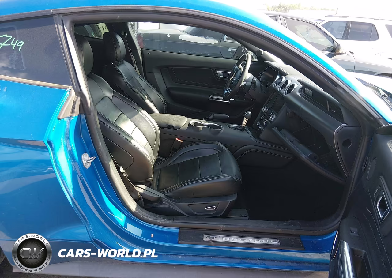 2019 Ford Mustang Ecoboost Premium VIN:1FA6P8TH4K5168791 - 5