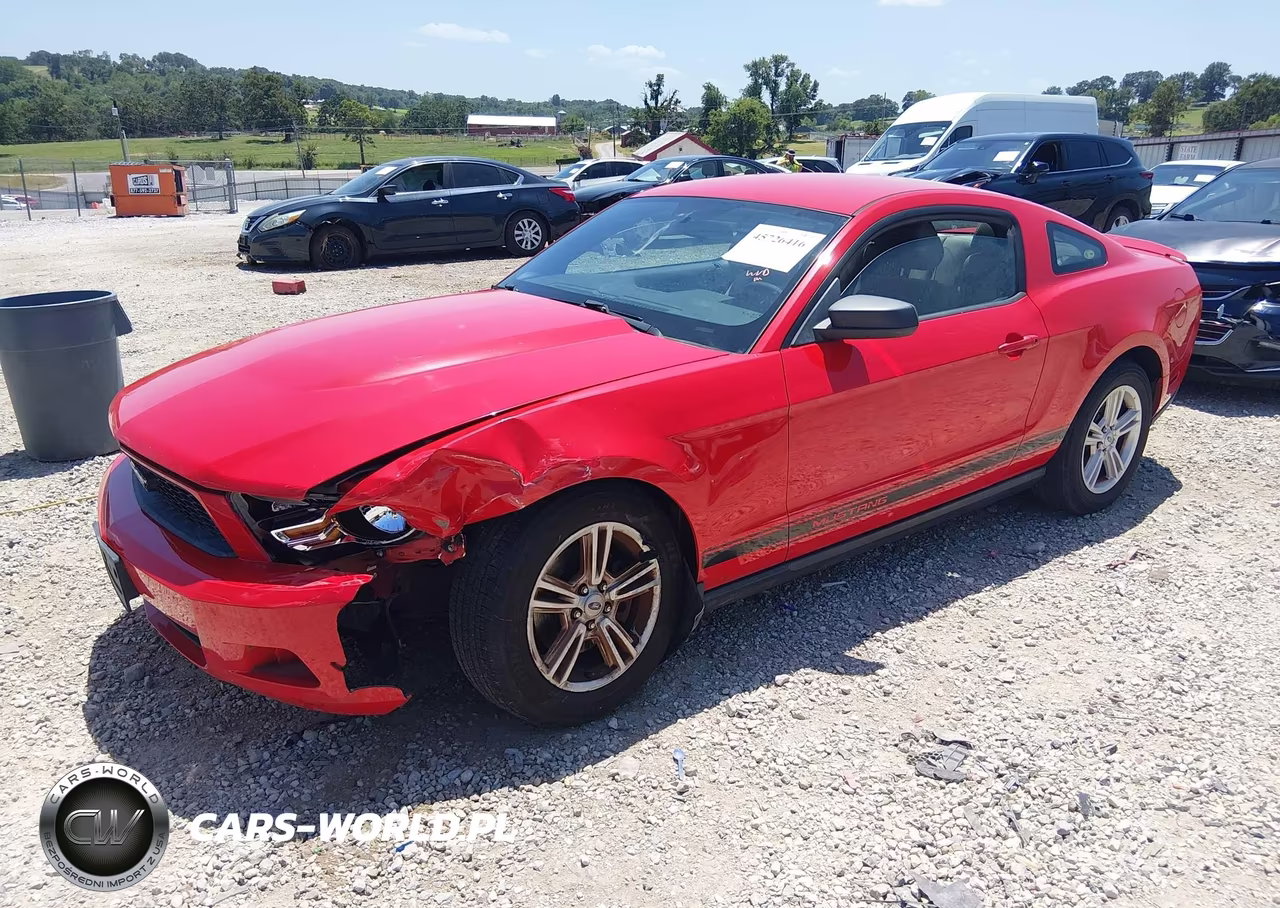 2012 Ford Mustang V6 VIN:1ZVBP8AM5C5272620 - 2
