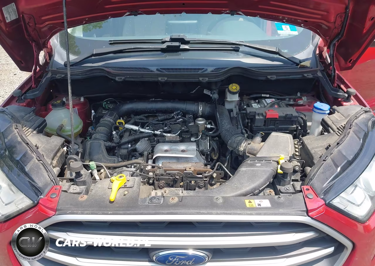 2018 Ford Ecosport Se VIN:MAJ3P1TE6JC187692 - 10