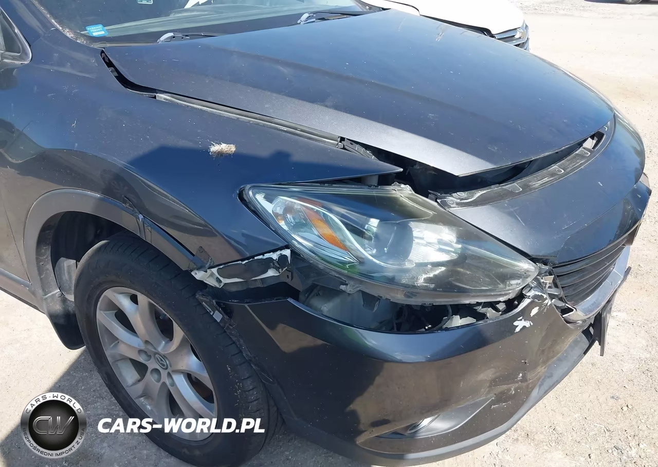 2015 Mazda Cx-9 Touring VIN:JM3TB2CA6F0467365 - 6