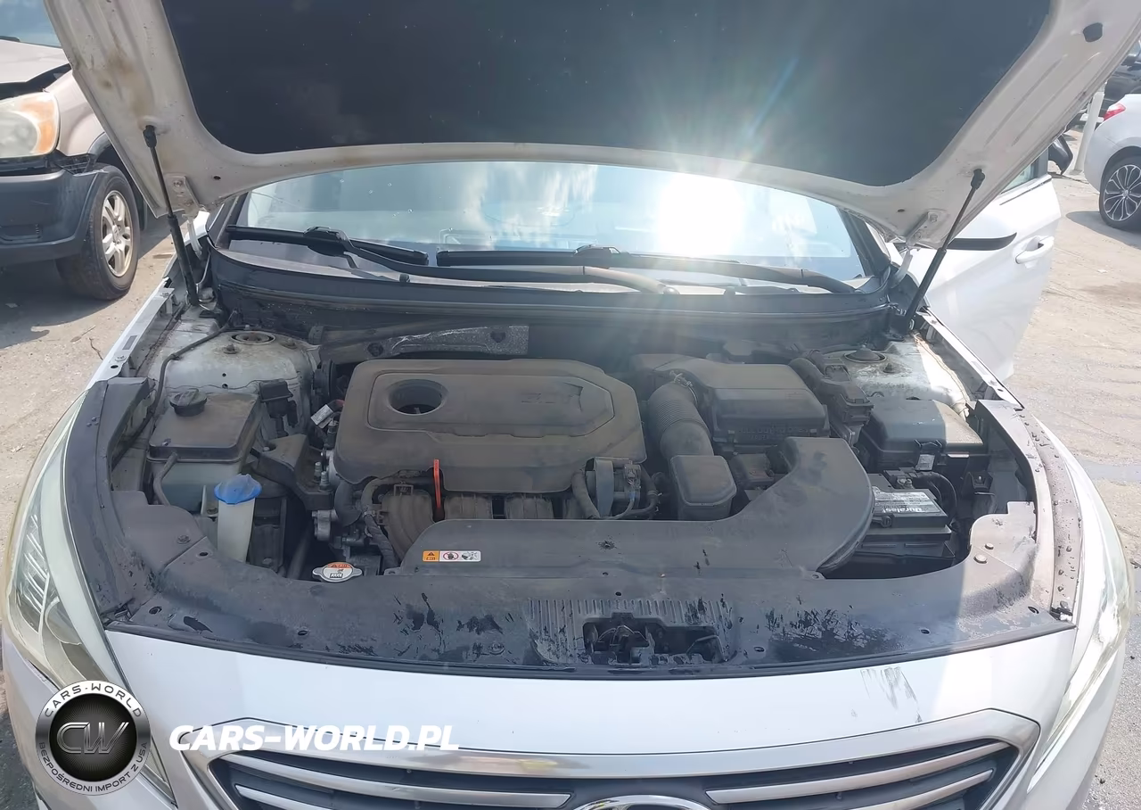2016 Hyundai Sonata VIN:5NPE24AF3GH418818 - 10