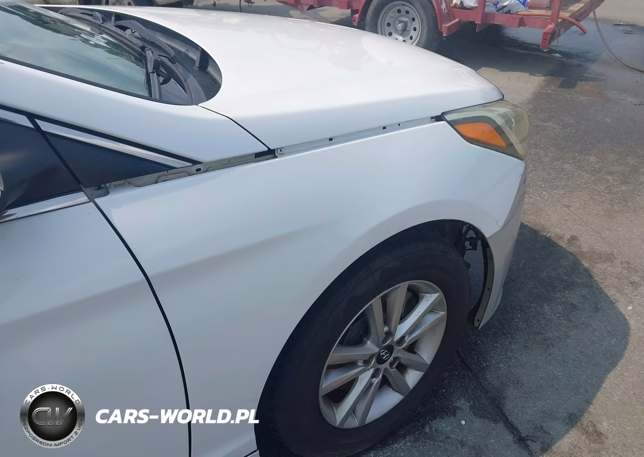 2016 Hyundai Sonata VIN:5NPE24AF3GH418818 - 18