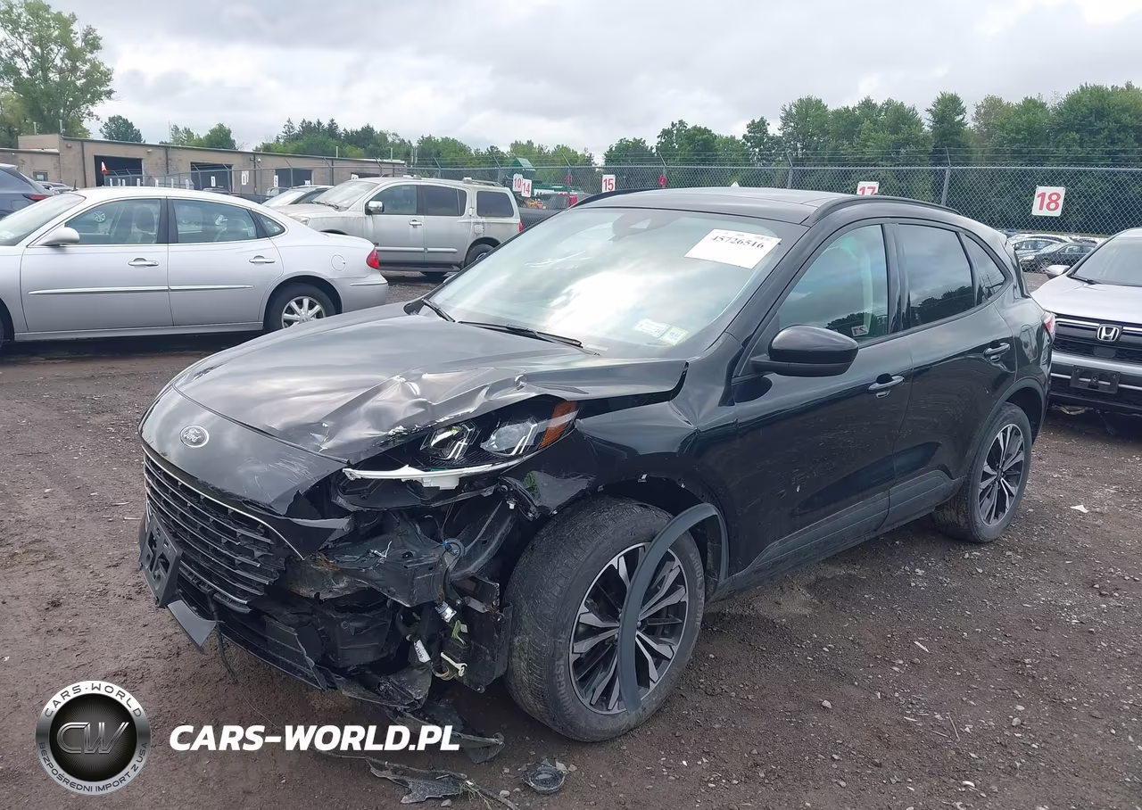2022 Ford Escape Sel VIN:1FMCU9H91NUA05051 - 2