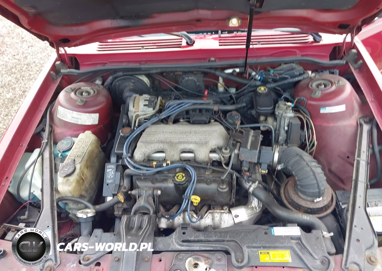 1996 Buick Century Special-Custom-Limited VIN:1G4AG55M0T6462404 - 10