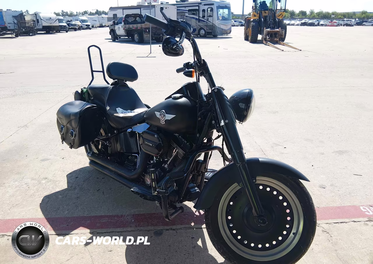 2016 Harley-Davidson Flstfbs – zdjęcie 1 z 15