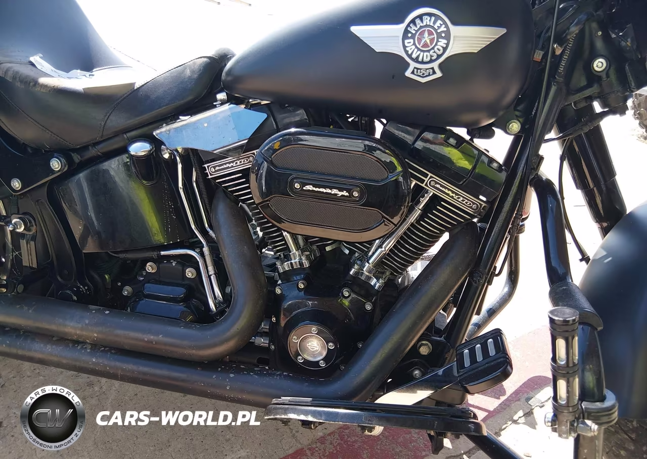 2016 Harley-Davidson Flstfbs VIN:1HD1JT917GC013219 - 8