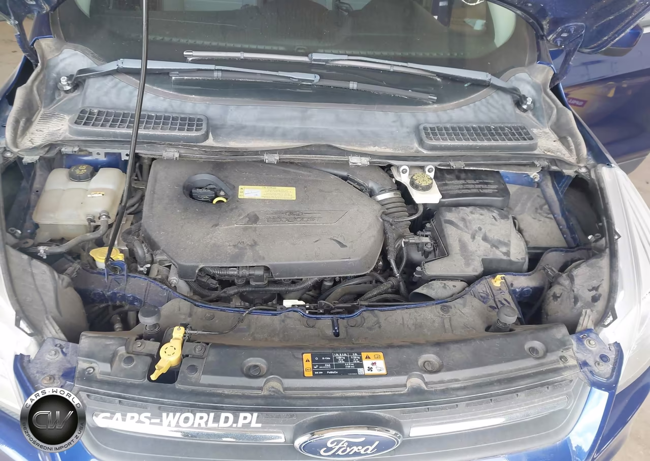 2013 Ford Escape Se VIN:1FMCU9GX7DUB96702 - 10