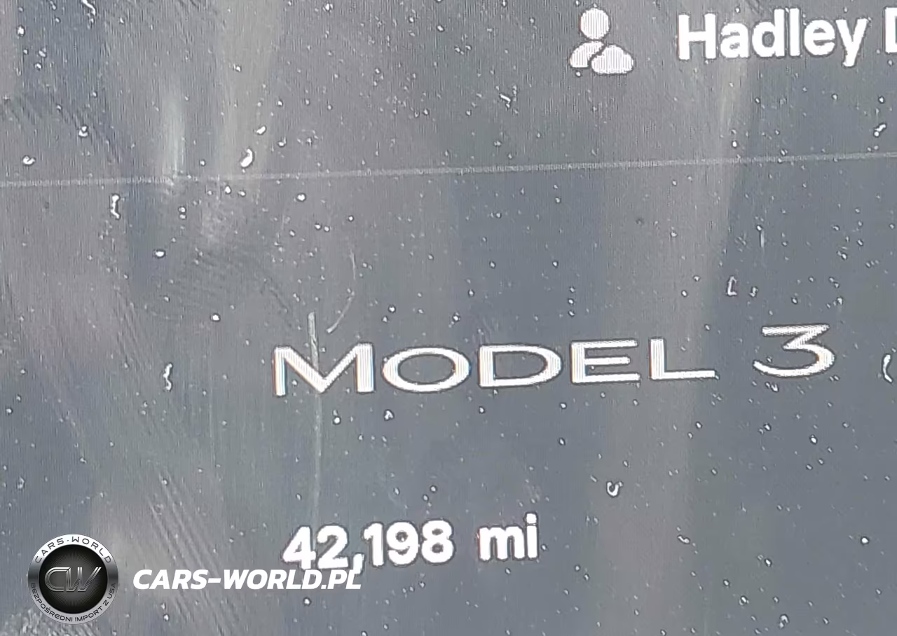 2023 Tesla Model 3 Rear-Wheel Drive VIN:5YJ3E1EA2PF699004 - 16