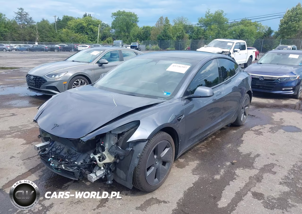 2023 Tesla Model 3 Rear-Wheel Drive VIN:5YJ3E1EA2PF699004 - 2