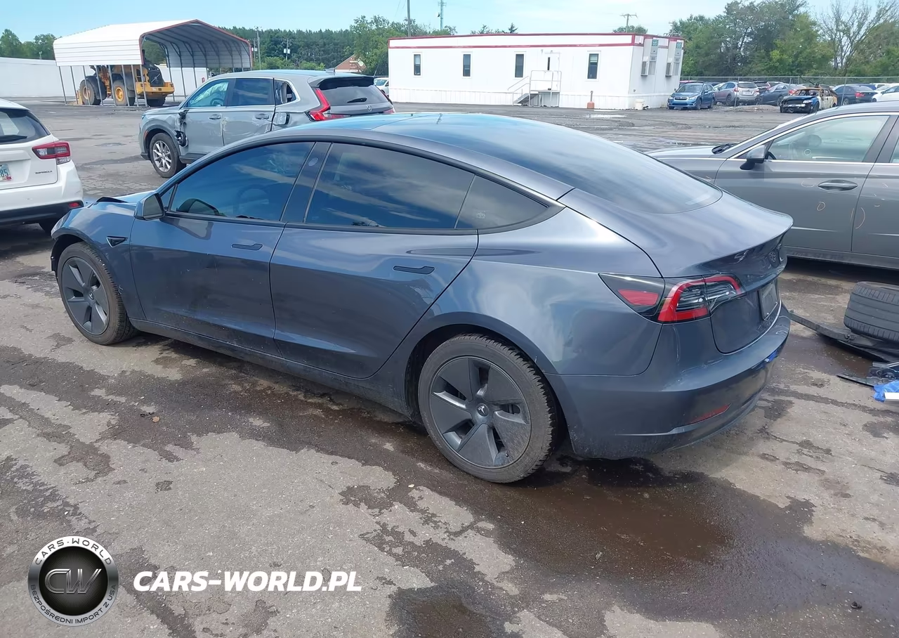 2023 Tesla Model 3 Rear-Wheel Drive VIN:5YJ3E1EA2PF699004 - 3