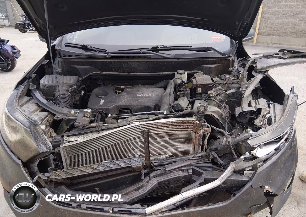 2019 Chevrolet Equinox Ls VIN:3GNAXSEV4KL226006 - 10