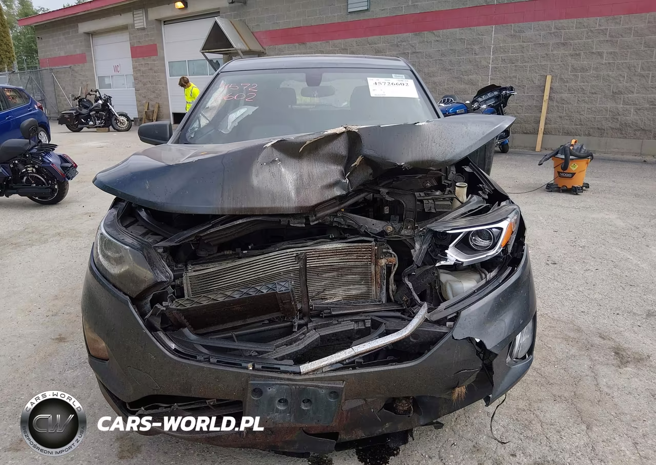 2019 Chevrolet Equinox Ls VIN:3GNAXSEV4KL226006 - 13