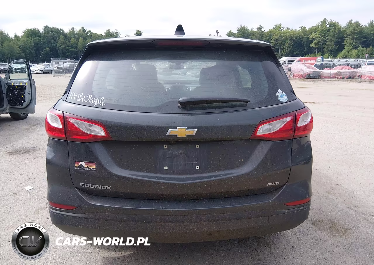 2019 Chevrolet Equinox Ls VIN:3GNAXSEV4KL226006 - 17