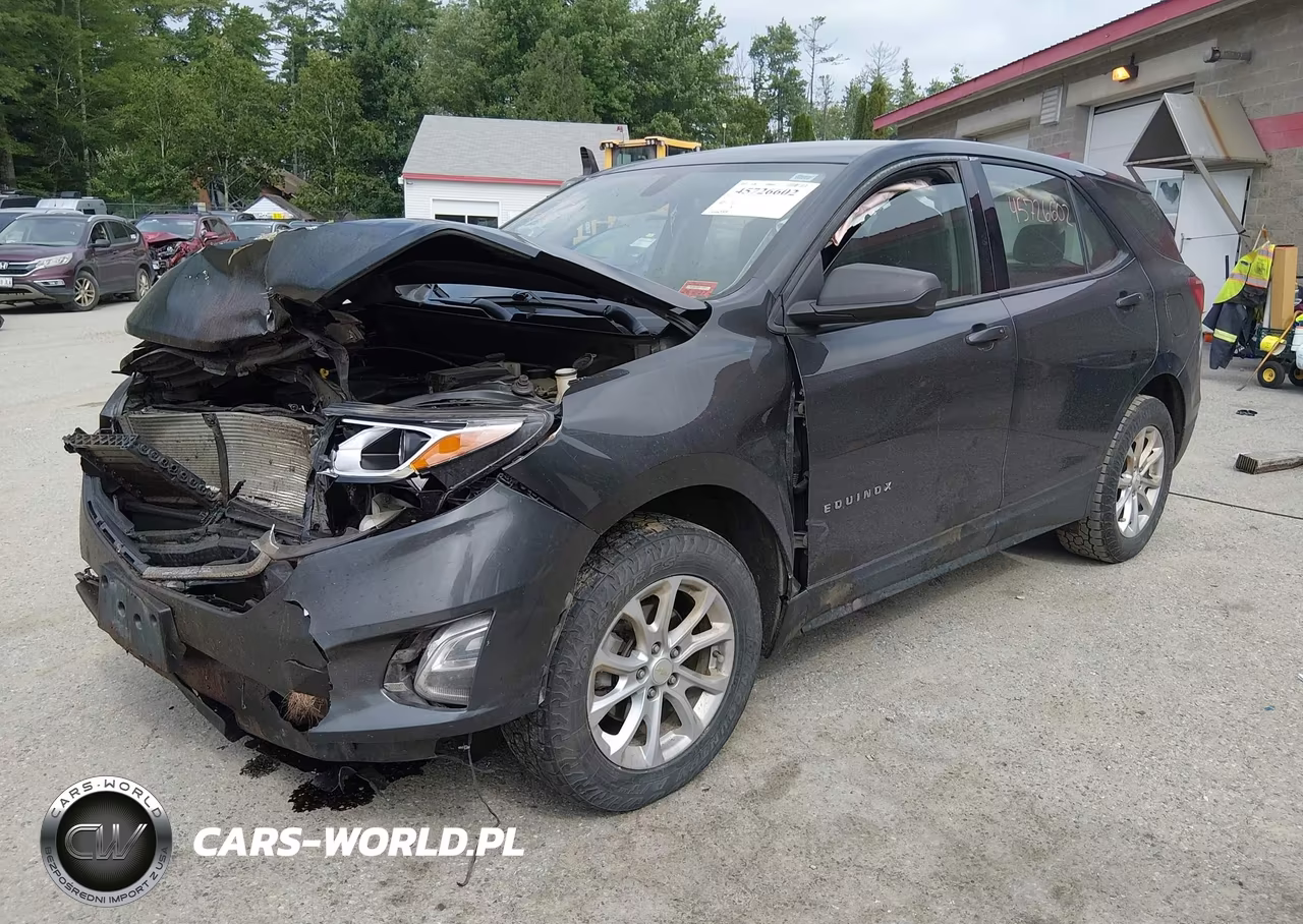 2019 Chevrolet Equinox Ls VIN:3GNAXSEV4KL226006 - 2