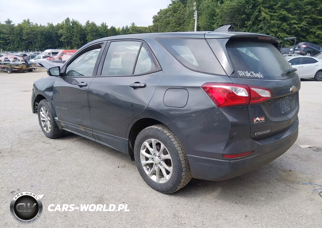 2019 Chevrolet Equinox Ls VIN:3GNAXSEV4KL226006 - 3
