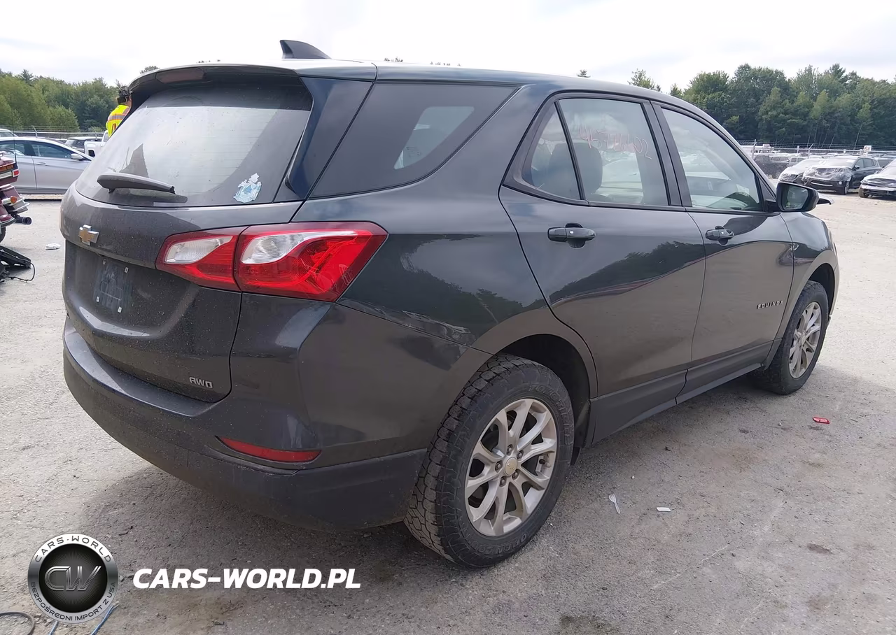 2019 Chevrolet Equinox Ls VIN:3GNAXSEV4KL226006 - 4