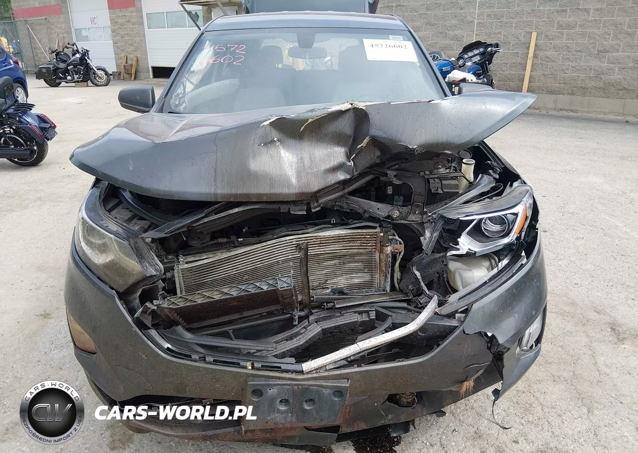 2019 Chevrolet Equinox Ls VIN:3GNAXSEV4KL226006 - 6