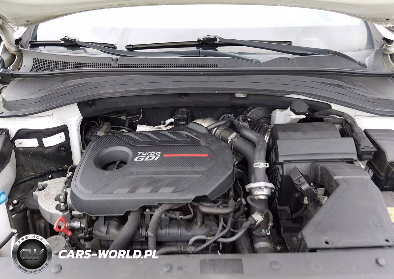 2019 Hyundai Santa Fe Limited 2.0T VIN:5NMS5CAA9KH011021 - 10