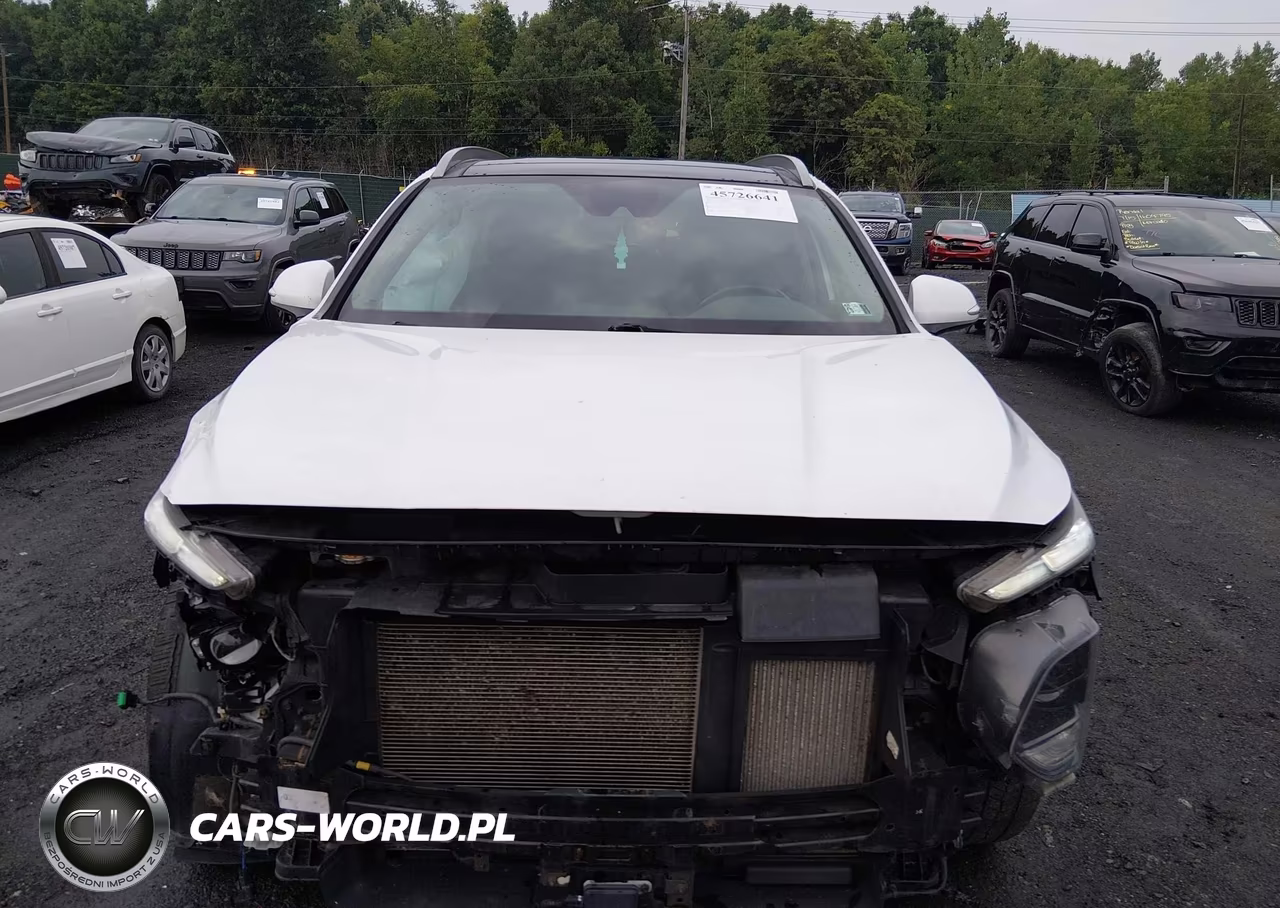 2019 Hyundai Santa Fe Limited 2.0T VIN:5NMS5CAA9KH011021 - 12