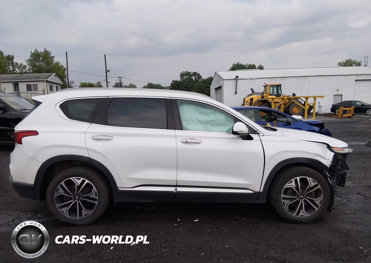 2019 Hyundai Santa Fe Limited 2.0T VIN:5NMS5CAA9KH011021 - 13