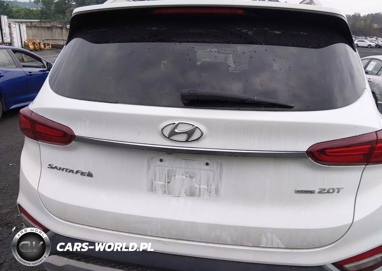 2019 Hyundai Santa Fe Limited 2.0T VIN:5NMS5CAA9KH011021 - 16