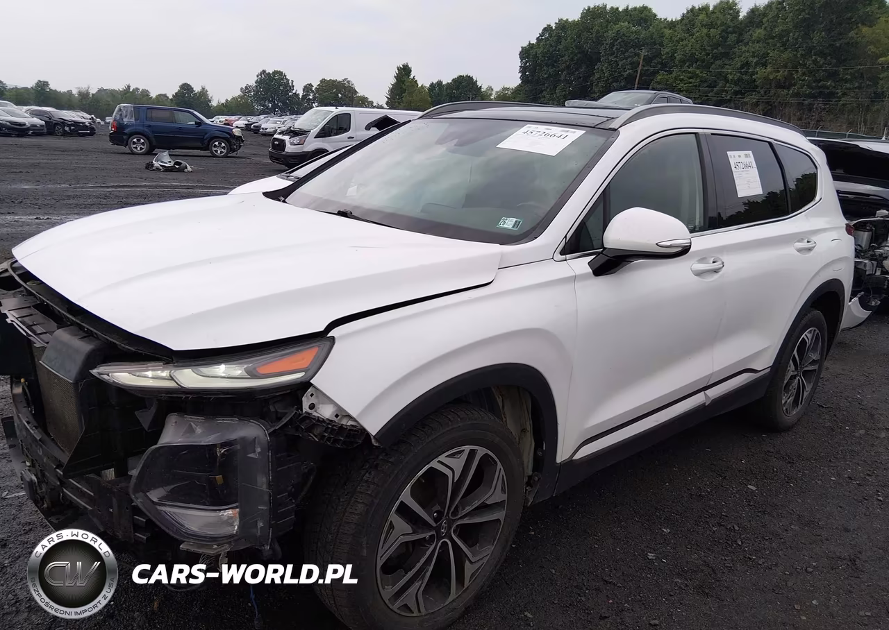 2019 Hyundai Santa Fe Limited 2.0T VIN:5NMS5CAA9KH011021 - 2