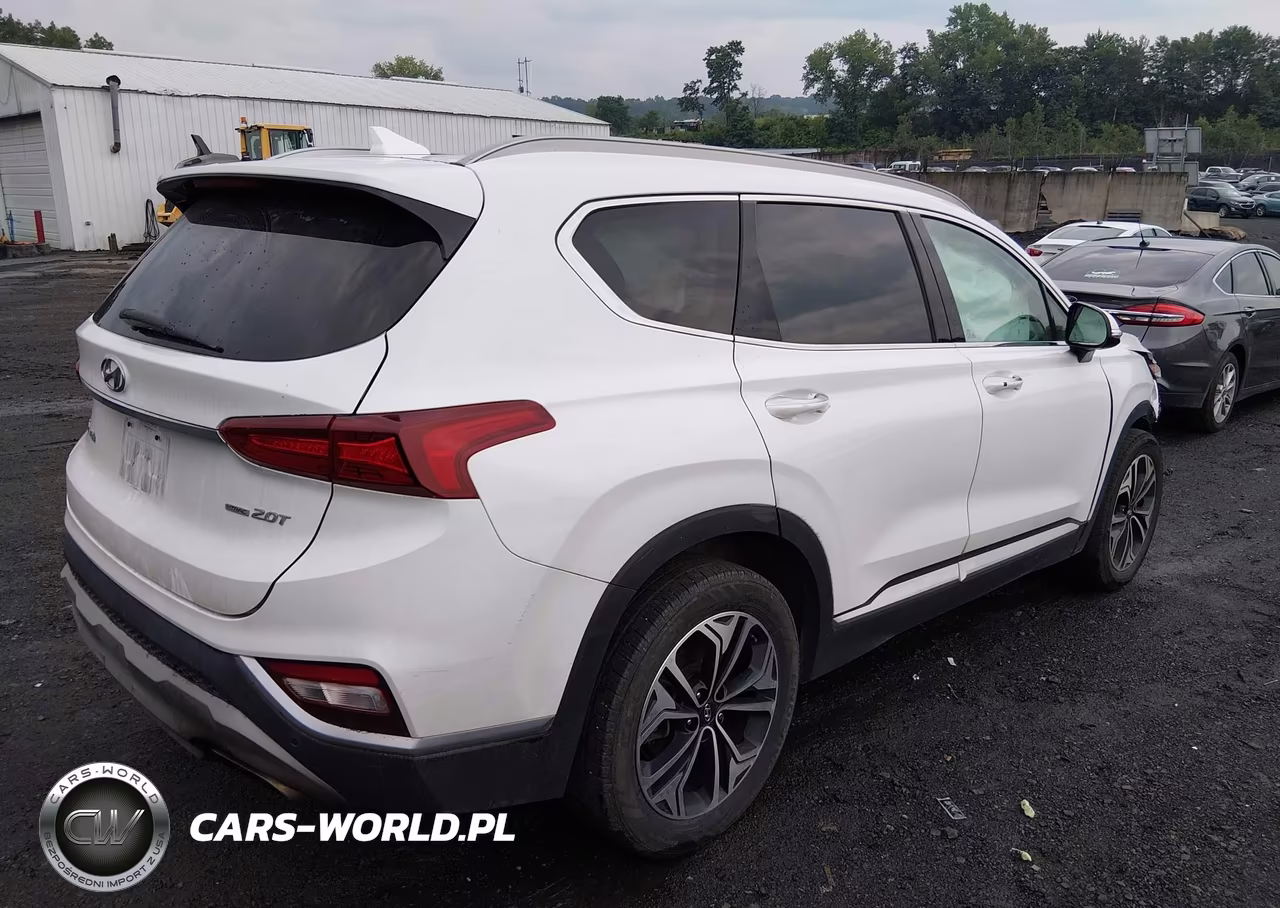 2019 Hyundai Santa Fe Limited 2.0T VIN:5NMS5CAA9KH011021 - 4