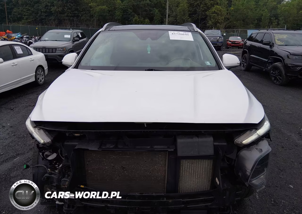 2019 Hyundai Santa Fe Limited 2.0T VIN:5NMS5CAA9KH011021 - 6