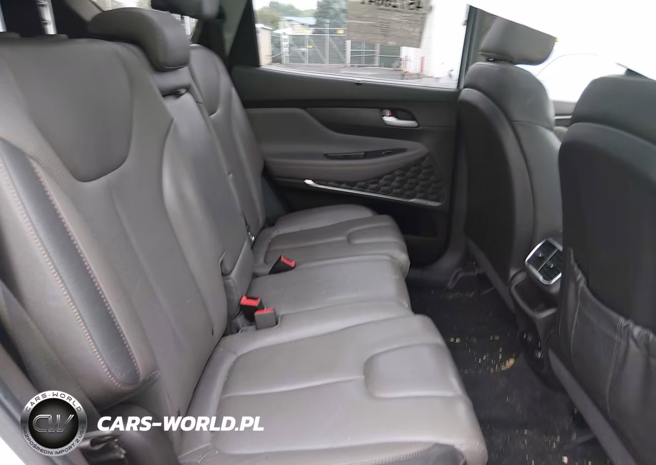 2019 Hyundai Santa Fe Limited 2.0T VIN:5NMS5CAA9KH011021 - 8