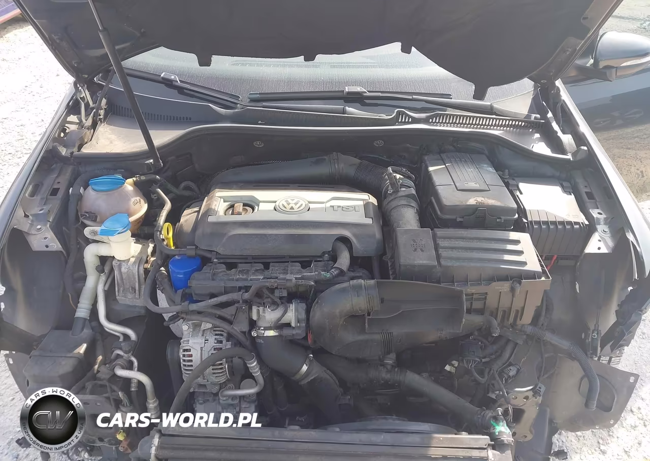 2013 Volkswagen Gti Wolfsburg Edition VIN:WVWHV7AJ4DW135991 - 10
