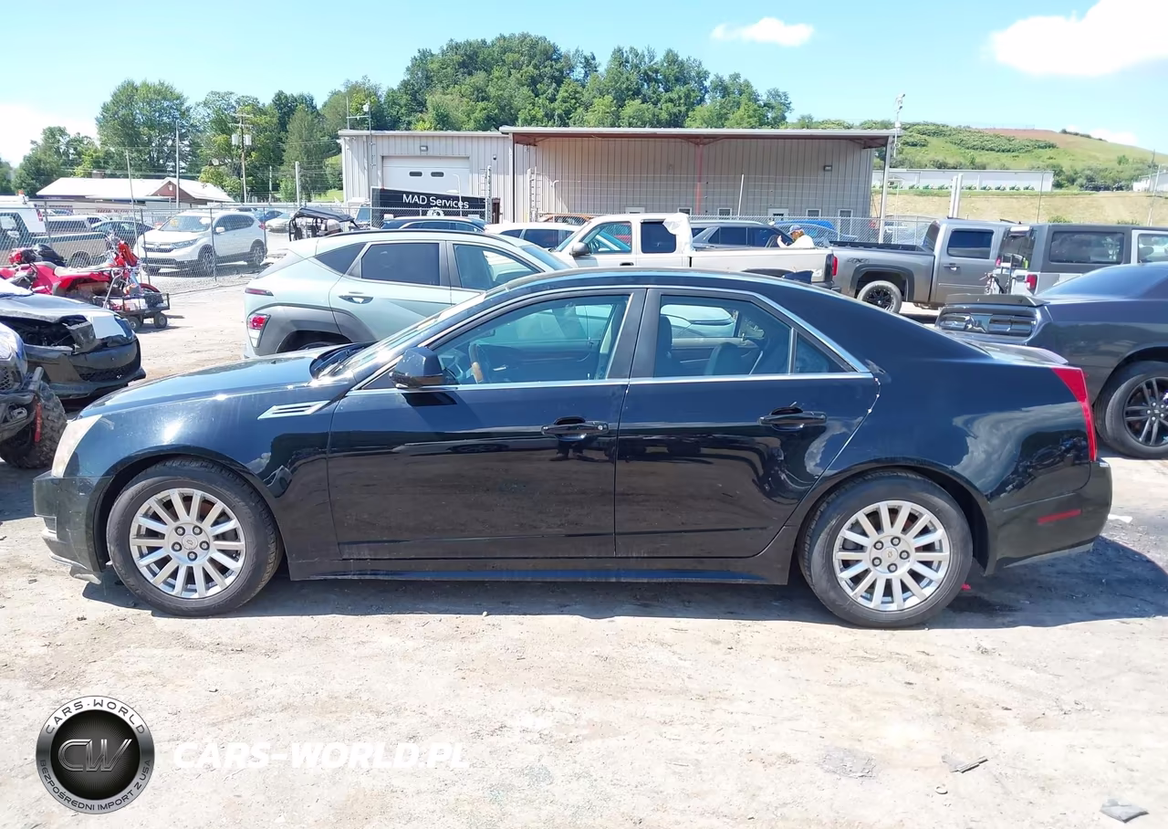 2010 Cadillac Cts Luxury VIN:1G6DE5EG9A0137870 - 14