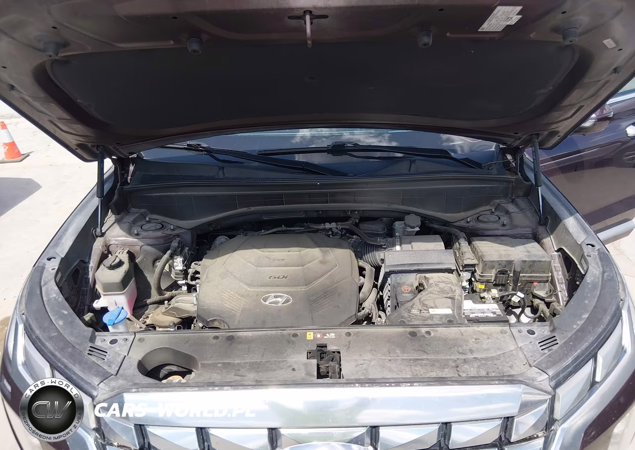 2023 Hyundai Palisade Calligraphy VIN:KM8R74GE3PU538881 - 10