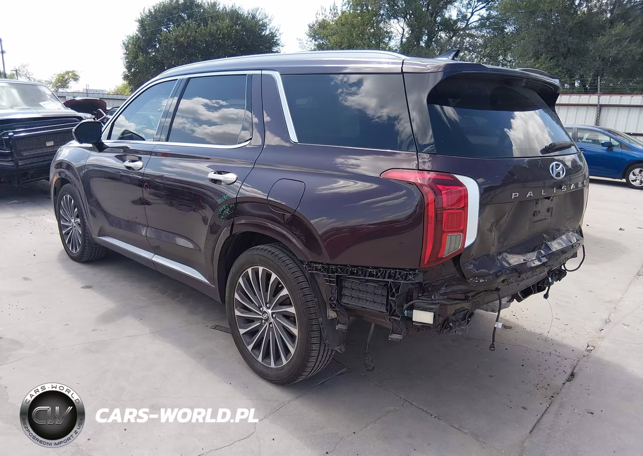 2023 Hyundai Palisade Calligraphy VIN:KM8R74GE3PU538881 - 3