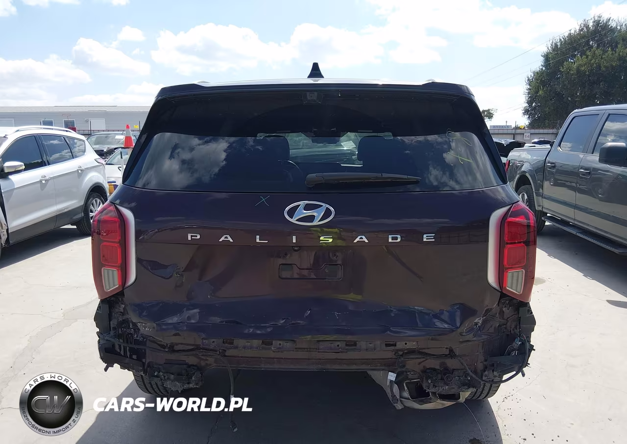 2023 Hyundai Palisade Calligraphy VIN:KM8R74GE3PU538881 - 6