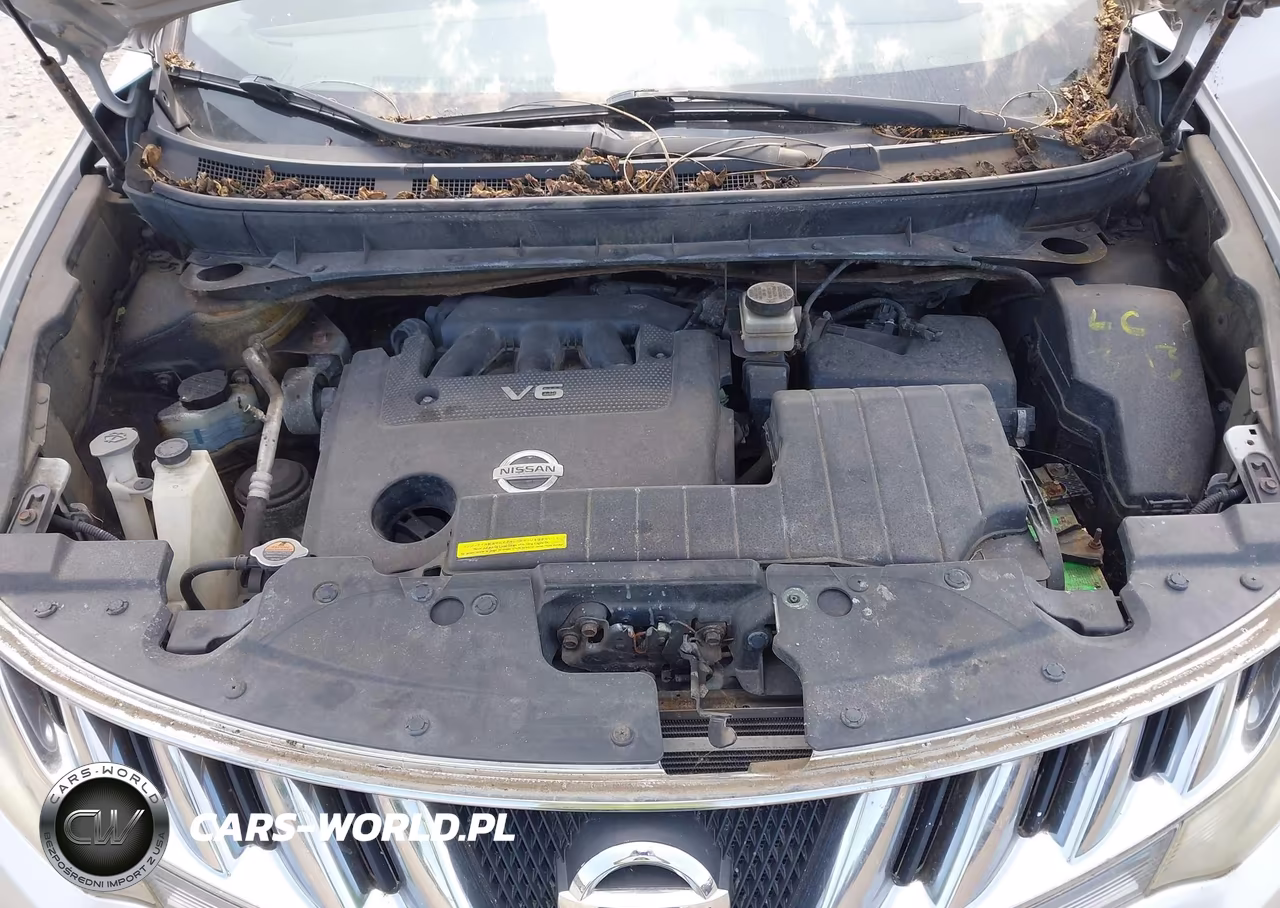 2010 Nissan Murano Sl VIN:JN8AZ1MW4AW132258 - 10