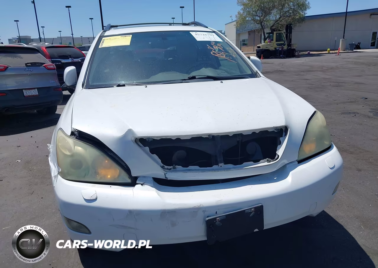 2004 Lexus Rx 330 VIN:JTJGA31U440023492 - 6