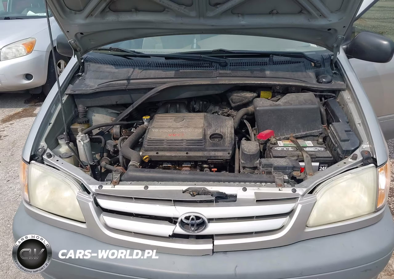 2001 Toyota Sienna Le VIN:4T3ZF13C01U383713 - 10