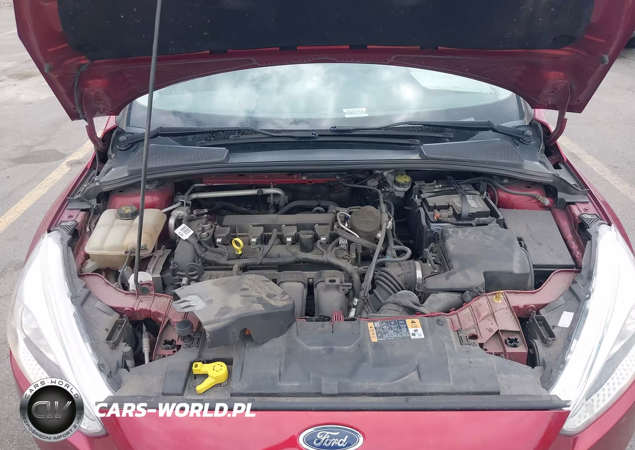 2015 Ford Focus Se VIN:1FADP3K24FL318729 - 10