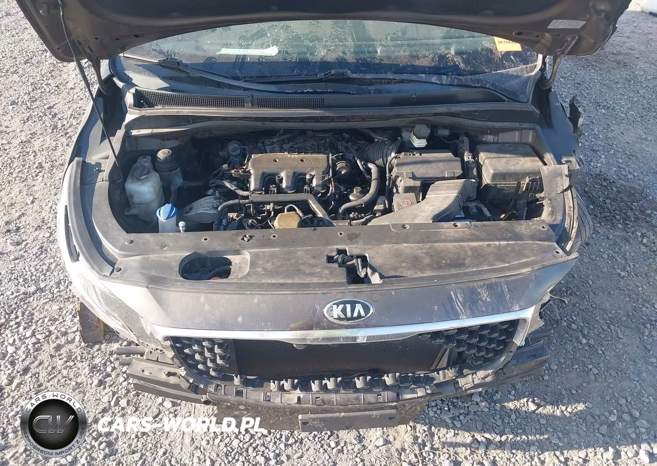 2016 Kia Sedona Lx VIN:KNDMB5C13G6148860 - 10