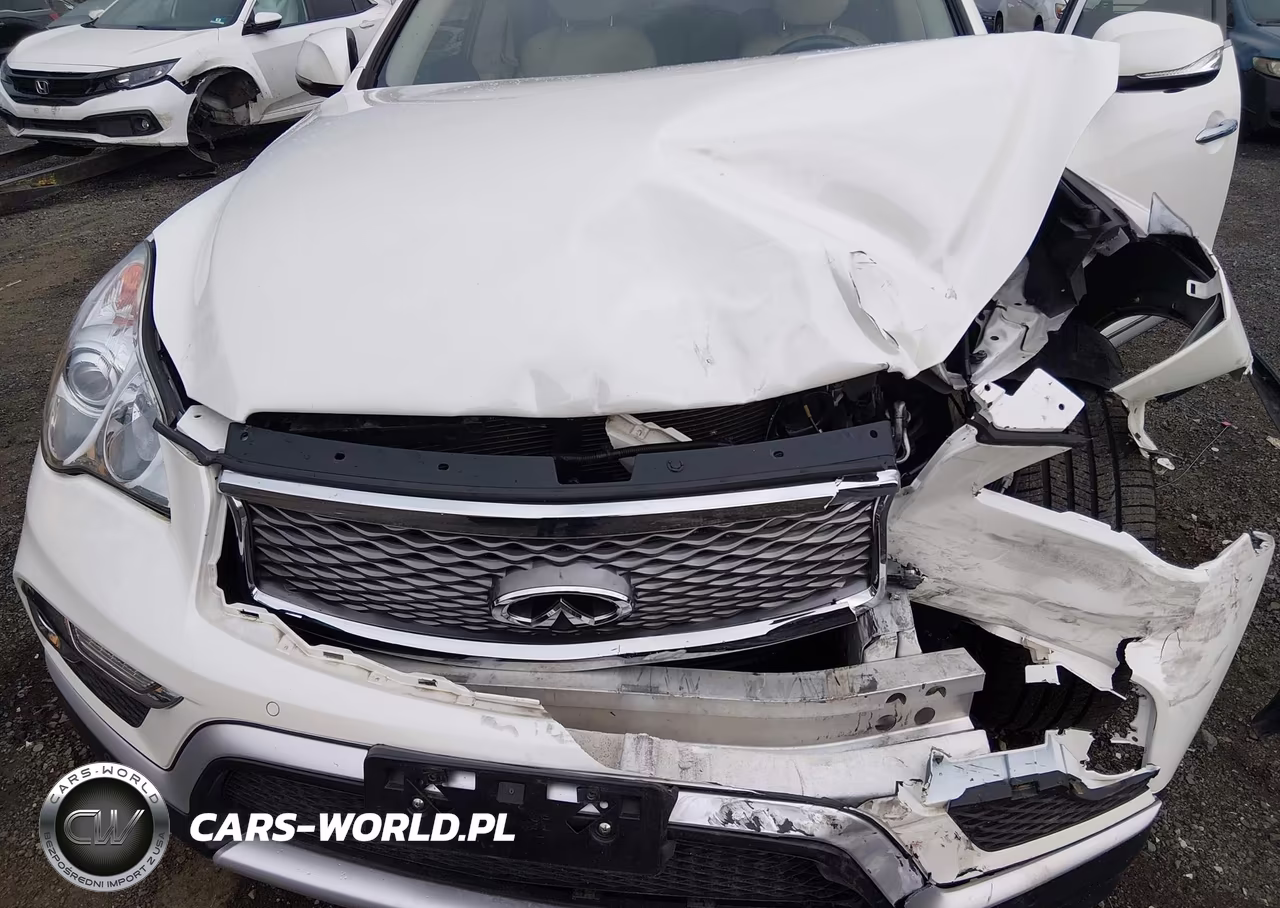 2017 Infiniti Qx50 VIN:JN1BJ0RR2HM403959 - 10