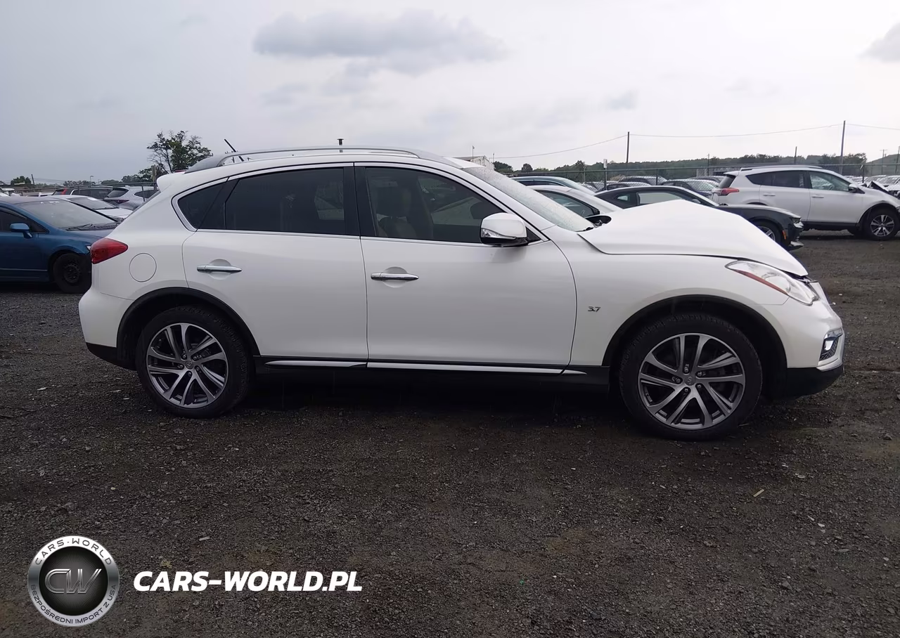 2017 Infiniti Qx50 VIN:JN1BJ0RR2HM403959 - 13