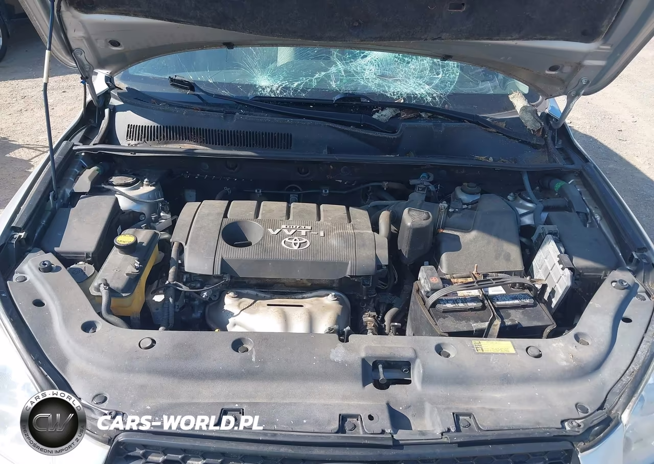 2009 Toyota Rav4 VIN:2T3ZF33V79W005428 - 10