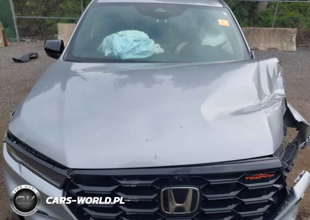 2024 Honda Pilot Trailsport VIN:5FNYG1H65RB025925 - 10
