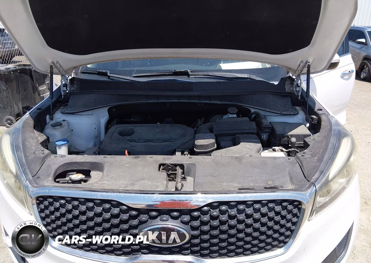 2016 Kia Sorento 2.4L Lx VIN:5XYPG4A31GG036407 - 10