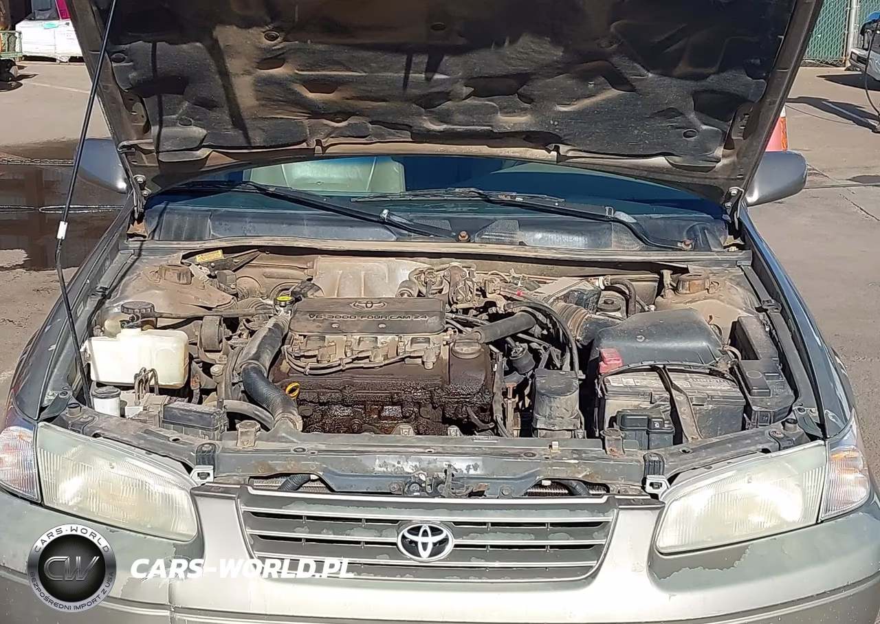 1999 Toyota Camry Le V6-Xle V6 VIN:JT2BF28K1X0194923 - 10