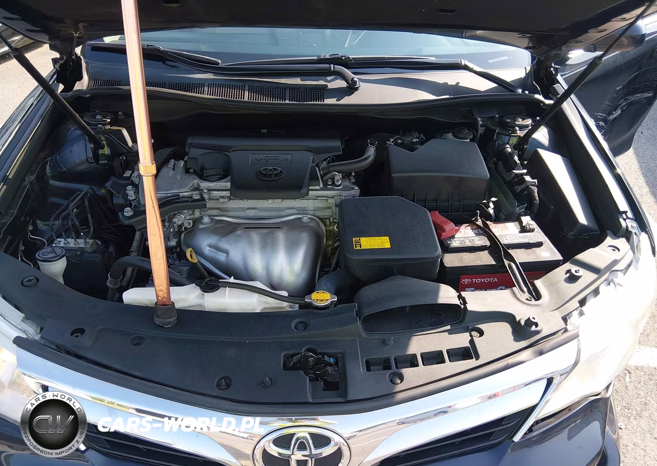 2012 Toyota Camry Xle VIN:4T4BF1FK1CR250836 - 10