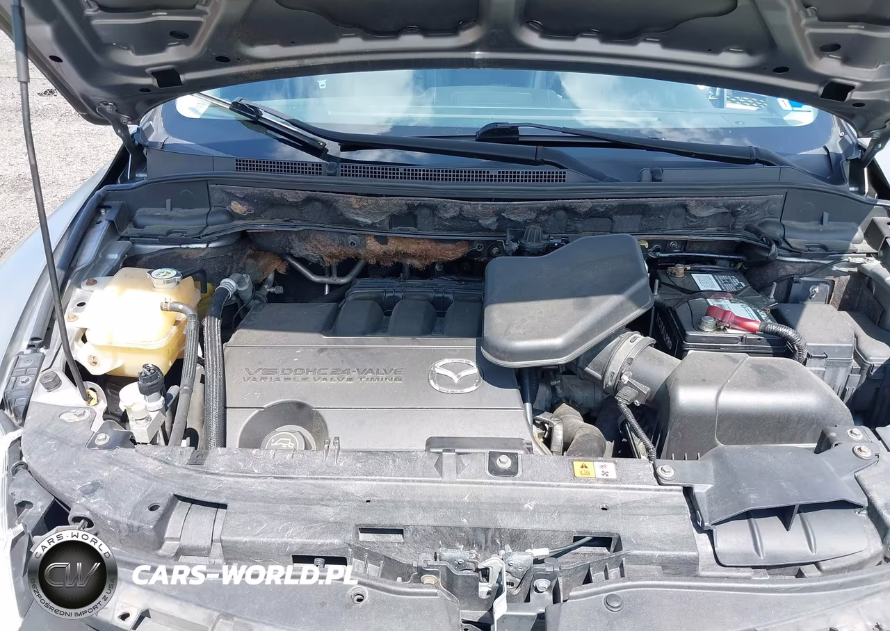 2010 Mazda Cx-9 Touring VIN:JM3TB3MVXA0214789 - 10