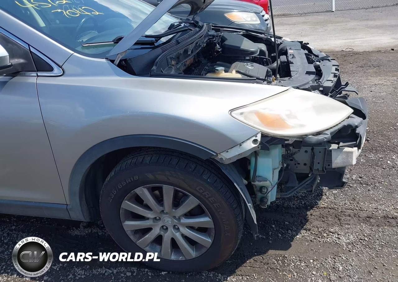 2010 Mazda Cx-9 Touring VIN:JM3TB3MVXA0214789 - 14